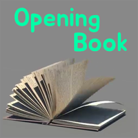 Opening Book