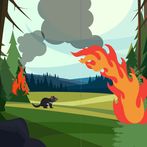 Animal Rescue - Tasmania