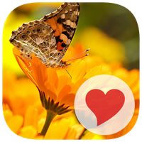 650 Photos