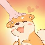 Awww Cute pets