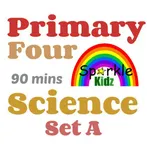 P4 Science Set A