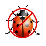 BUG Kill Game(벌레 잡기 게임)