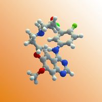 Journey Through Cytoplasm