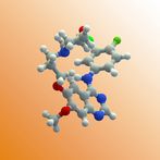 Journey Through Cytoplasm