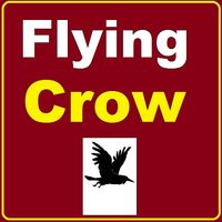 Flying Crow