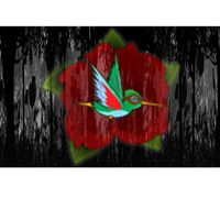 Henry the Hummingbird