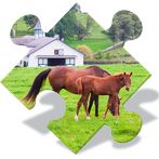 Farm Animals Jigsaw Puzzles