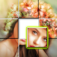 Jigsort Jigsaw Puzzles