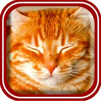 Animals for kids (Latvian)