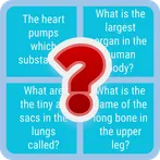 Basic Anatomy Quiz