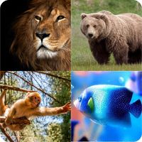 أحزر الحيوان