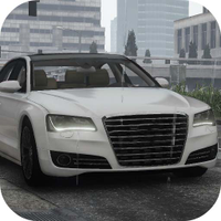 Parking City German Car Drive