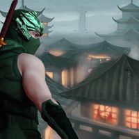 Kung Fu Karate Fighter