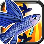 Flying Fish