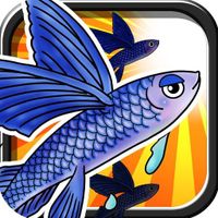 Flying Fish
