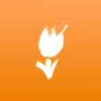 Holland Play & Match