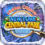Hidden Object New York Winter
