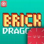 브릭드래거 with Exer Heart