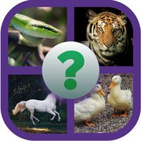 animal names guess quiz
