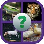 animal names guess quiz