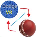 Combo:dodge & cricket ball