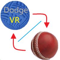 Combo:dodge & cricket ball