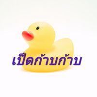 เป็ดก้าบก้าบ