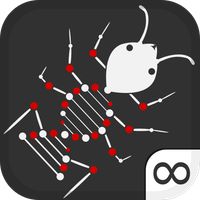 Ant Evolution Forever : Squash