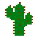 CactusCollision