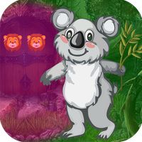 Bruin Bear Rescue - JRK Games