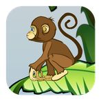 Monkey Adventure