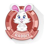 Rabbit : กระต่ายแสนน่ารัก