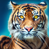 Lion Hunting Animal Games