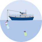 Pesca