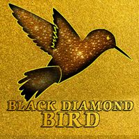 Black Diamond Bird