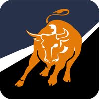 Bull Bear-New Soccer feature!