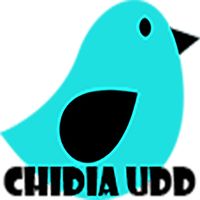 Chidiya Udd ( Flop Bird)