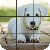 Puppies Jigsaw Puzzles