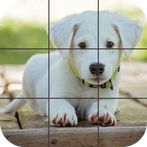 Puppies Jigsaw Puzzles