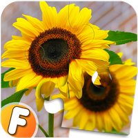 Fluzzles - Puzzle Game for And