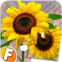 Fluzzles - Puzzle Game for And
