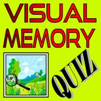 Visual Memory Quiz