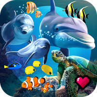 Ocean Reef Life - 3D Virtual A