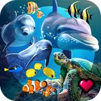 Ocean Reef Life - 3D Virtual A