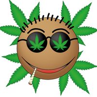 Weed Runner: Escape The Cops!