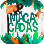 Macacadas