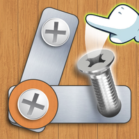 Bolt Master: Metal Nuts Puzzle