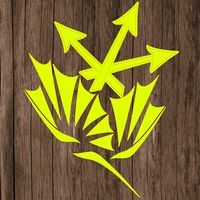 Survivor Kanki Yanki