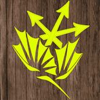 Survivor Kanki Yanki