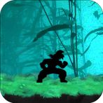 Shadow Fighter Endless